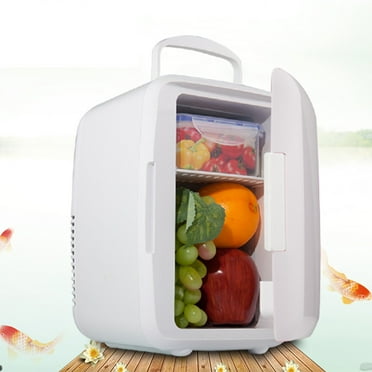Latrodar Car 4L Refrigerator Refrigerator Cooler Box Car Refrigerator Car Portable Car Small Refrigerator White Creative