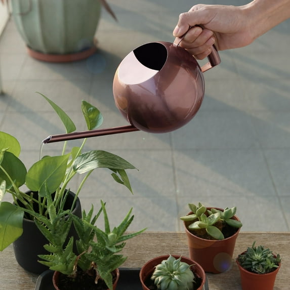 Latrodar Stainless Steel Watering Can - 1L Metal Watering Can With Long Spout To Spillage, Perfect Plant Watering Can For Outdoor And Indoor Plants Coffee Sa