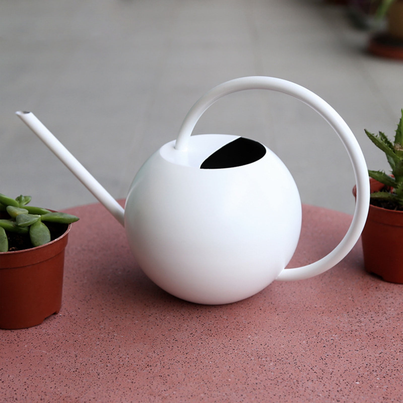 Gecau Stainless Steel Watering Can - Metal Watering Can With Long Spout To Spillage, Perfect Plant Watering Can For Outdoor And Indoor Plants White Safe&N