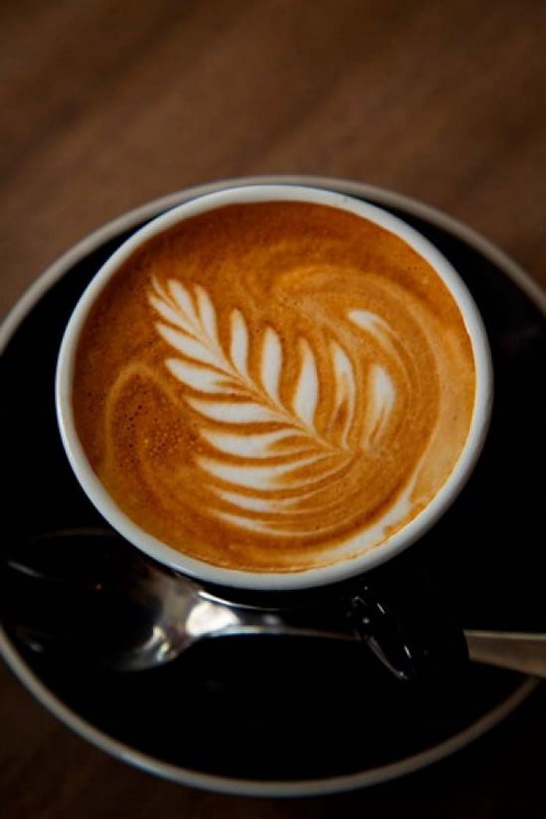 Latte at Havana Coffee Works Wellington North Island New Zealand Canvas Art - Douglas Peebles DanitaDelimont (19 x 29)