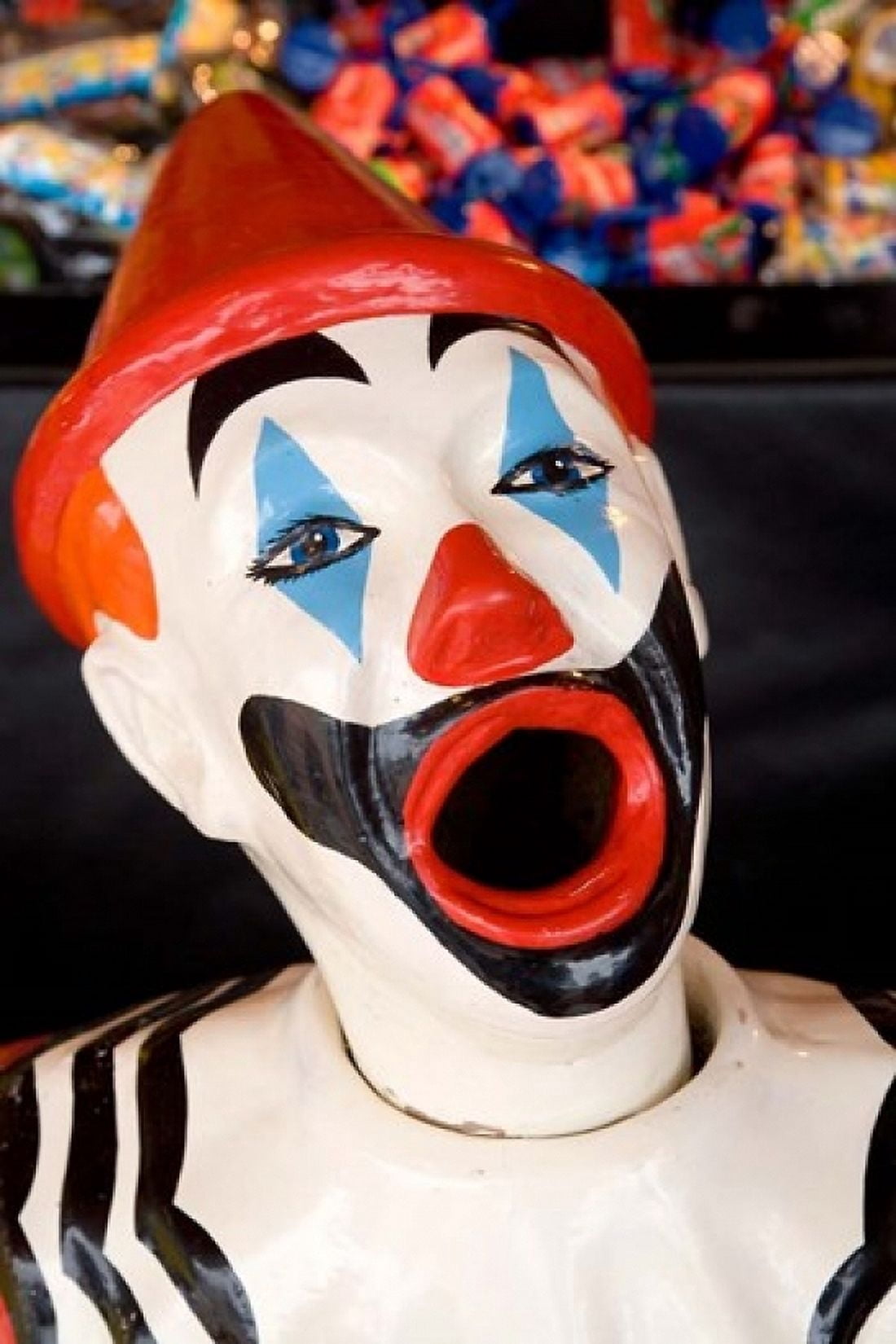 Laughing Clown Bay of Plenty North Island New Zealand Canvas Art - David Wall DanitaDelimont (11 x 17)