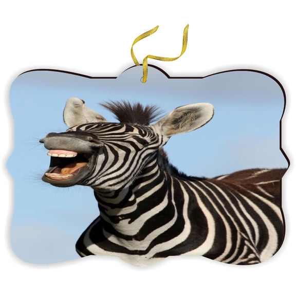 Laughing Zebra - for Car Interior Rear View Mirror Hanger Car Accessories Interior Decoration Hanging Ornament Fancy Christmas Tree Ornament for Christmas