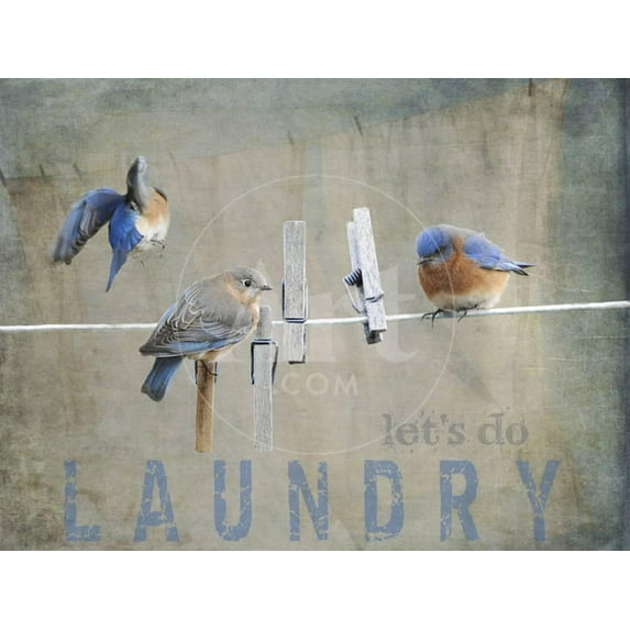 Laundry Day Bluebirds, Animals Unframed Giclee Print Wall Art by Jai Johnson Sold by Art.Com