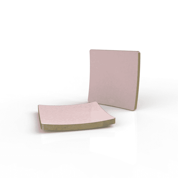 Party Source 10.5" Blush w/ Gold Rim Plastic Dinner Party Plates 10 Pcs