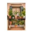 thumbnail image 1 of Laura DeNardo 'Italian Window Flowers III' Canvas Art, 1 of 3