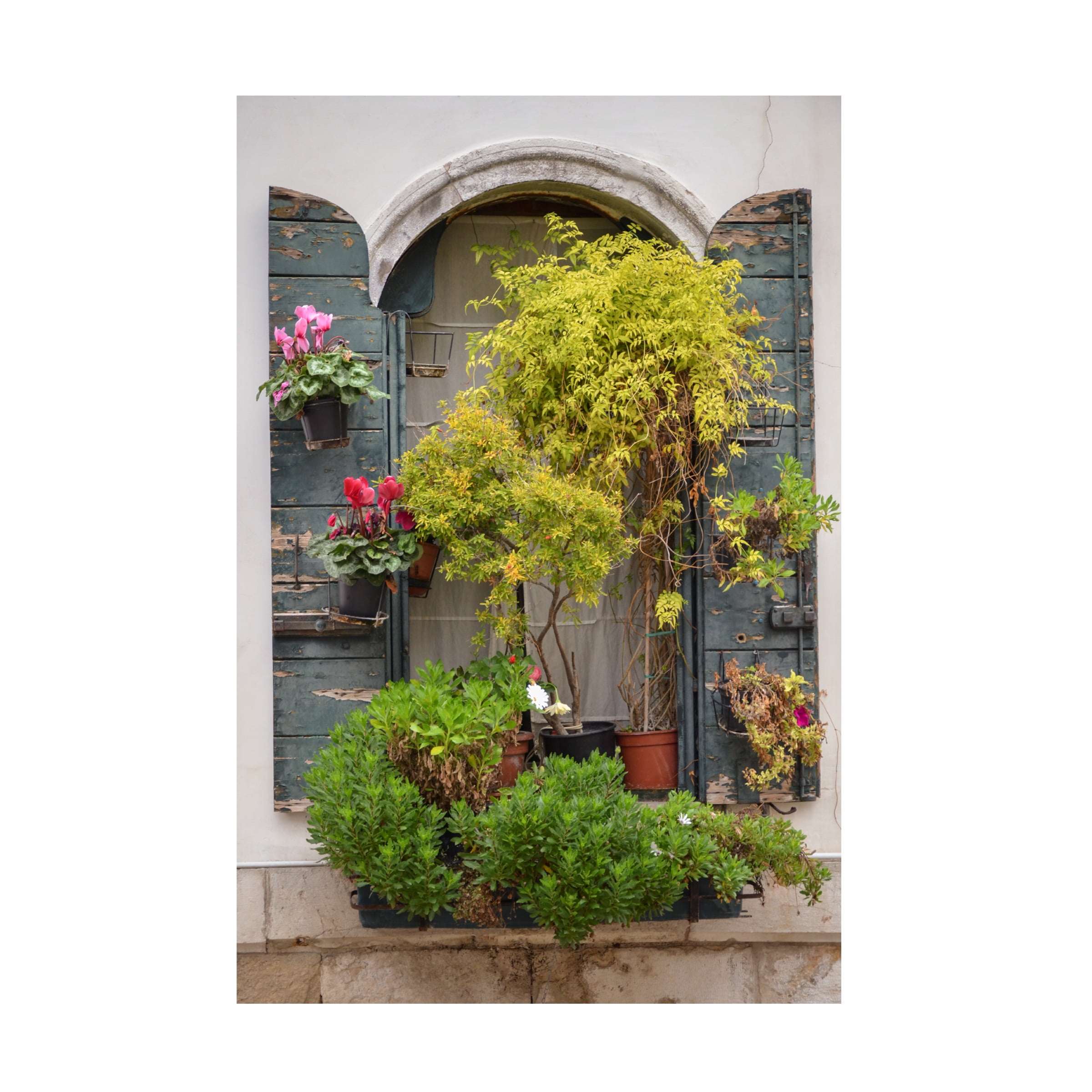 Laura DeNardo 'Italian Window Flowers IV' Canvas Art