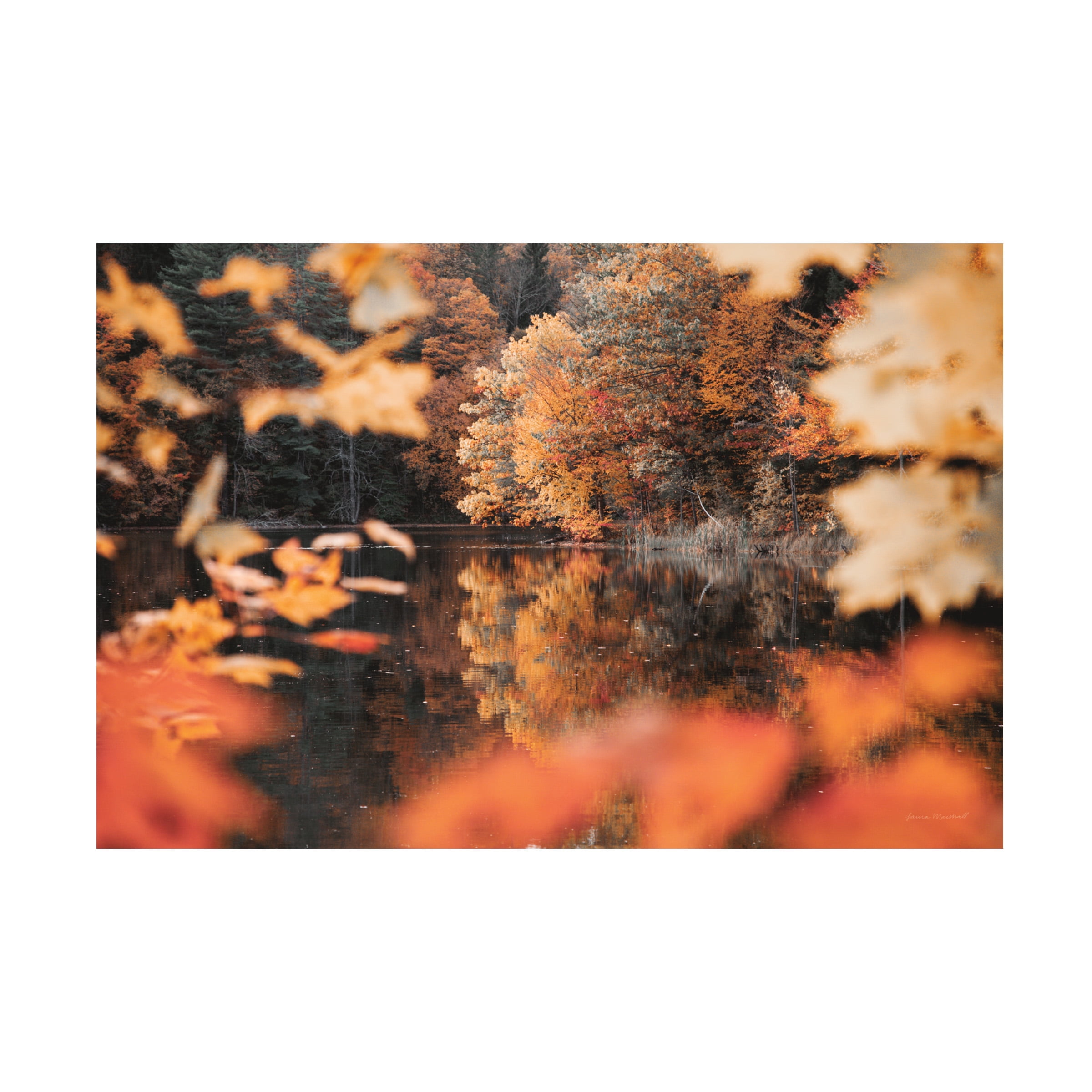 Laura Marshall 'Autumn Reflections' Canvas Art