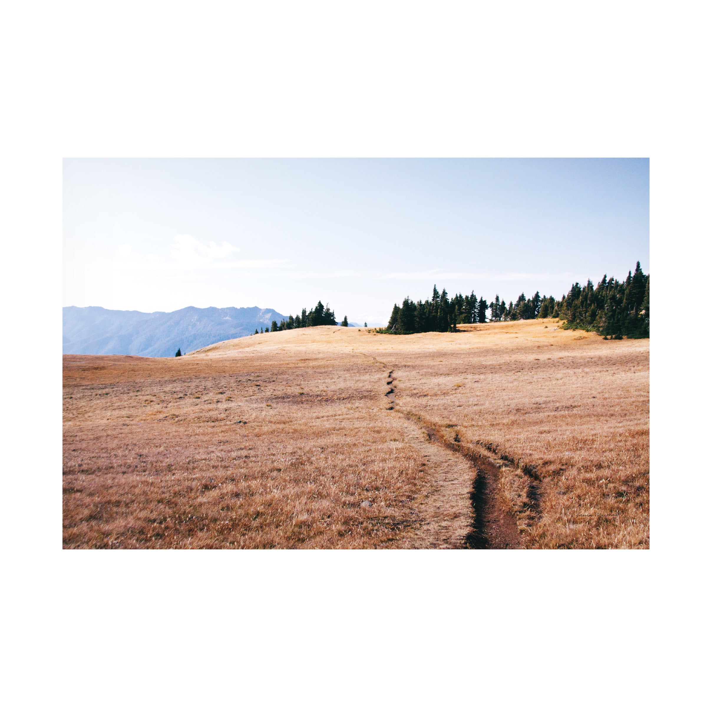 Laura Marshall 'Hurricane Hill I' Landscape Canvas Print in Light Brown and Blue