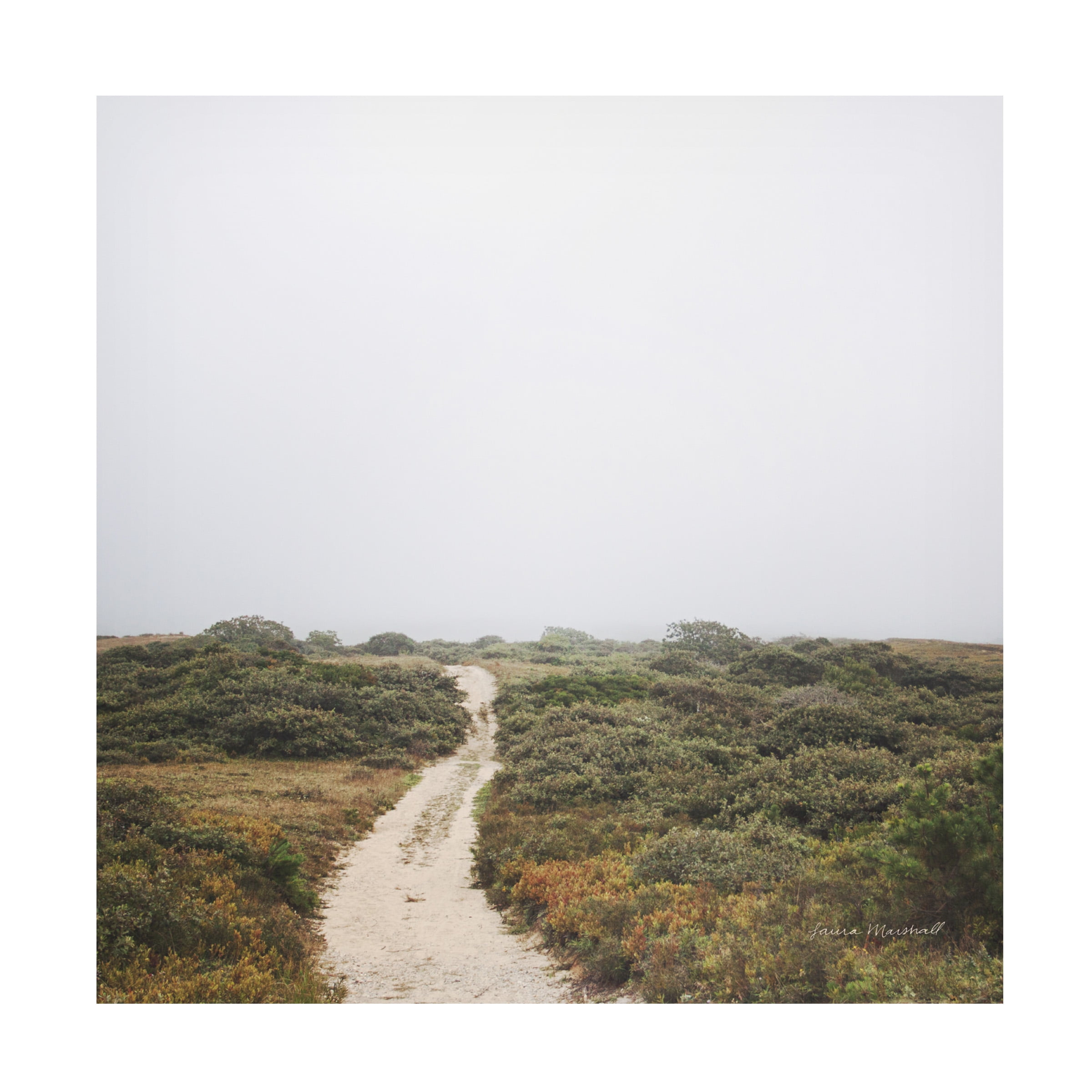 Laura Marshall 'Off the Beaten Path' Canvas Art