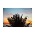 thumbnail image 1 of Laura Marshall 'Sunset Palms II' Canvas Art, 1 of 3
