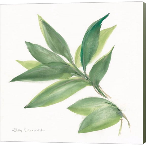 Laurel Bay by Chris Paschke, Canvas Wall Art