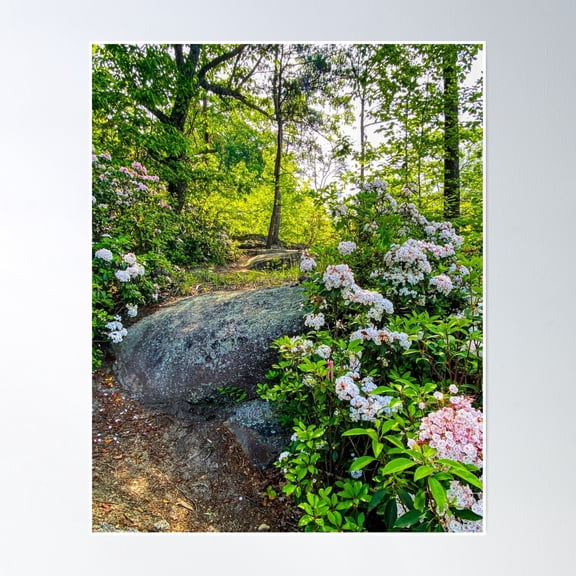 Laurel Forest Poster Wall Art, Modern Wall Decor, 8x12 UNFRAMED