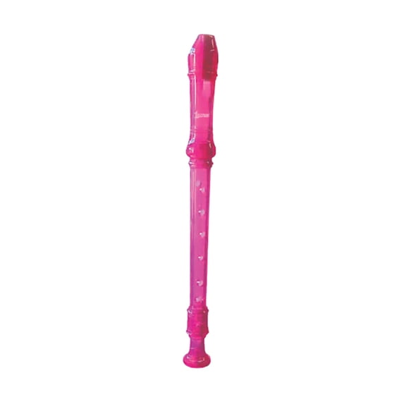 PLASTIC Soprano RECORDER -PINK