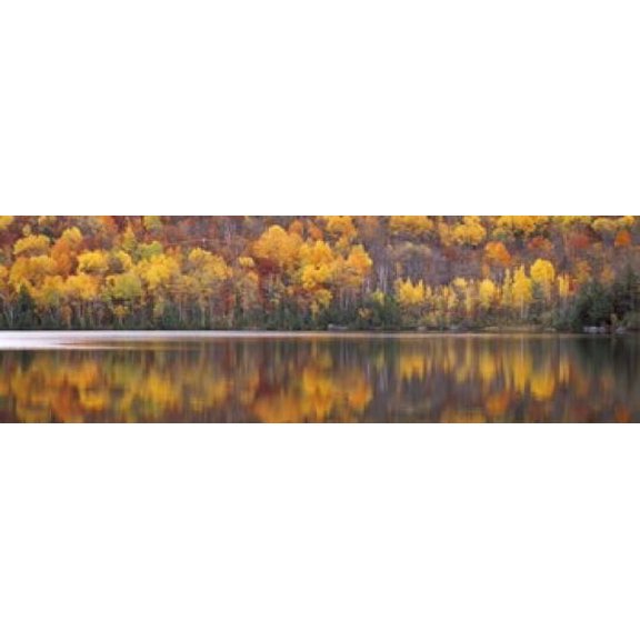 Laurentide Quebec Canada Poster Print (18 x 6)