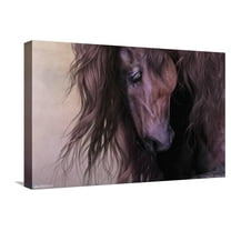 Laurie Prindle - Equus Canvas Wall Poster, 14.725" x 22.375"