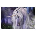 thumbnail image 1 of Laurie Prindle - Moonlight Serenade Wall Poster, 14.725" x 22.375" Framed, 1 of 5