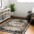 thumbnail image 1 of Lavadora Black 5'3" x 7' Traditional Machine Washable Rectangle Area Rug, 1 of 6