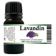 Lavandin Essential Oil 100% Pure and Natural 10 ml (1/3 oz)
