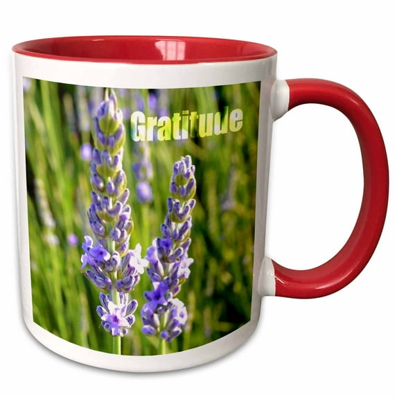 3drose, Lavendar Flowers- Gratitude- Inspirational Photography, 15oz Two-tone Red Mug