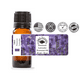 thumbnail image 1 of Lavender 40/42 (Standardized) Essential Oil 10 ml 100% Pure Aroma Therapeutic Grade Made & Shipped in the USA, 1 of 1