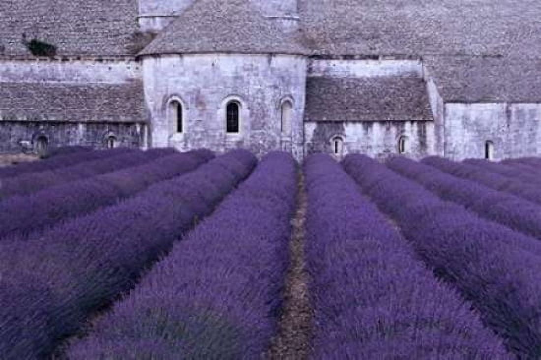 Lavender Abbey Canvas Art - Greg Gawlowski (12 x 18)