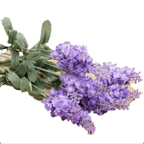 Lavender Artificial Flowers, 18-inch Single Stem Fake Flowers, Artificial Provence Lavender for Wedding Centerpieces, Home Table Decor, Garden Plant Decoration, Fade-Resistant