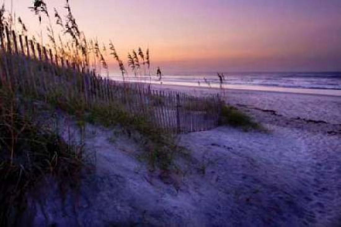 Lavender Beach I Canvas Art - Alan Hausenflock (24 x 36)
