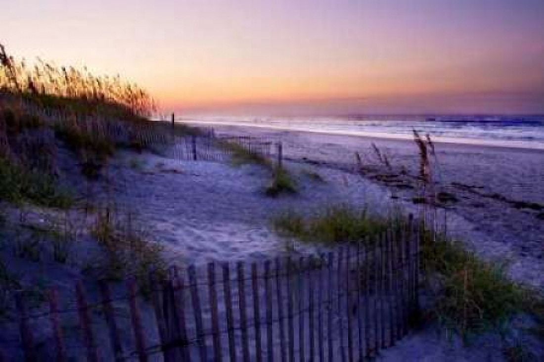 Lavender Beach II Canvas Art - Alan Hausenflock (24 x 36)
