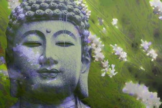 Lavender Buddha II Canvas Art - Kari Brooks (12 x 18)
