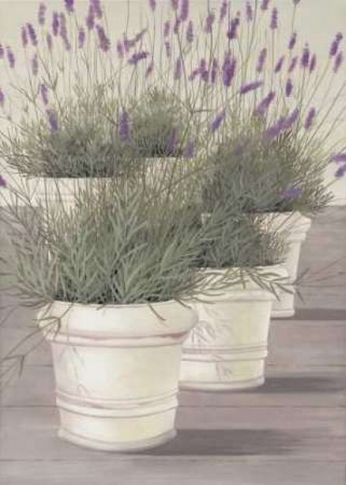 Lavender Canvas Art - Hans Paus (20 x 28)