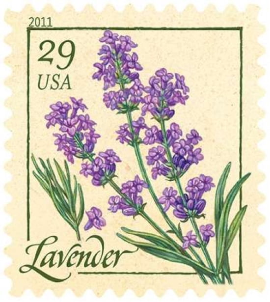 Lavender Canvas Art - US POSTAL SERVICE (24 x 24)