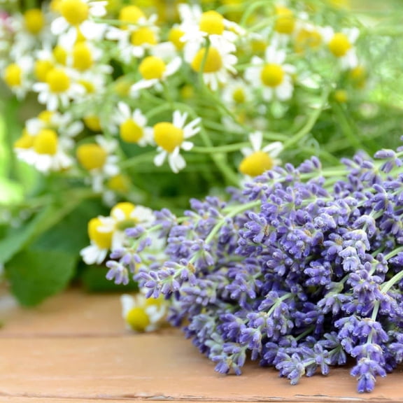 Lavender Chamomile 4 oz Bottle for Candle Making, Soap Making, Tart Making, Room Sprays, Lotions, Car Fresheners, Slime, Bath Bombs, Warmers