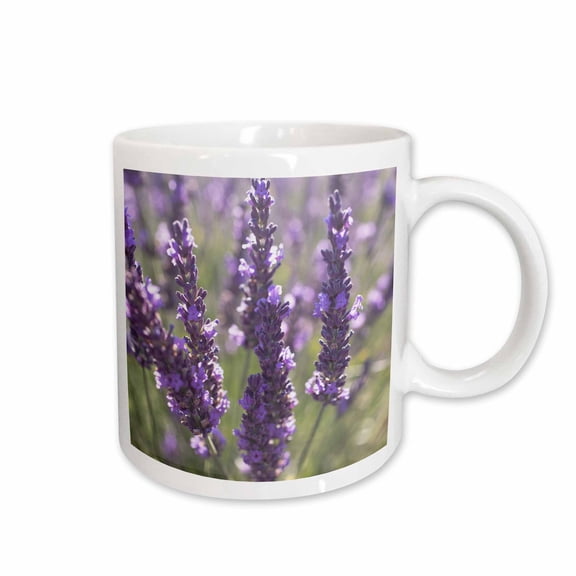 3drose, Lavender Close-up., 11oz Mug