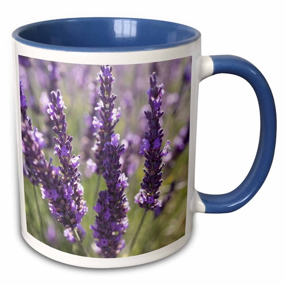 3drose, Lavender Close-up., 11oz Two-tone Blue Mug