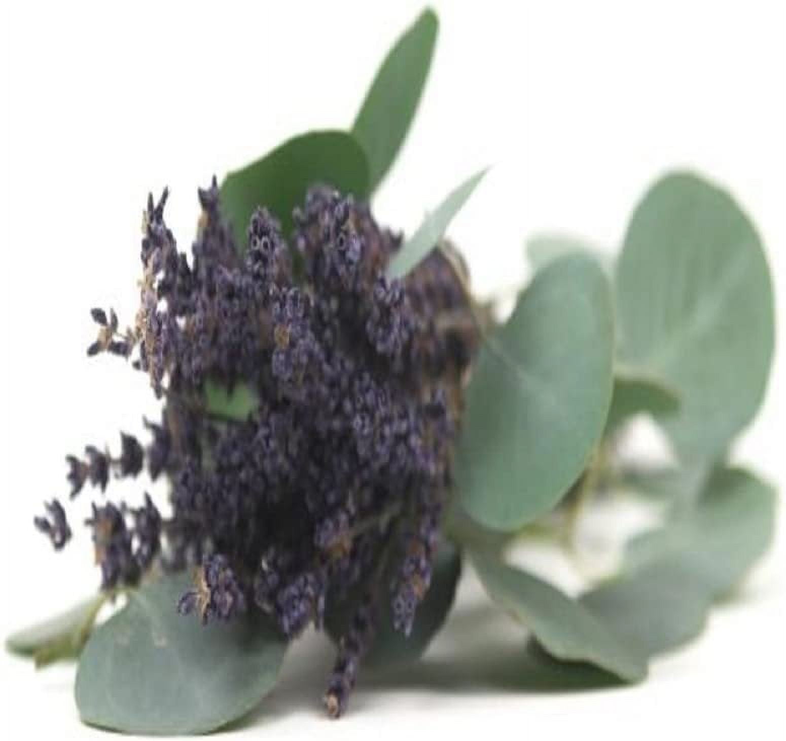 Lavender Eucalyptus 64 oz Bottle for Candle Making, Soap Making, Tart Making, Room Sprays, Lotions, Car Fresheners, Slime, Bath Bombs, Warmers