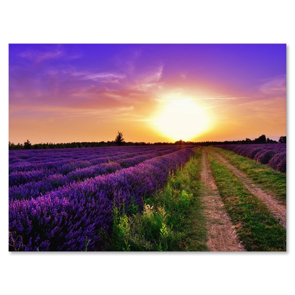 Lavender Field At Sunrise II 8 in x 12 in Photography Canvas Art Print, by Designart