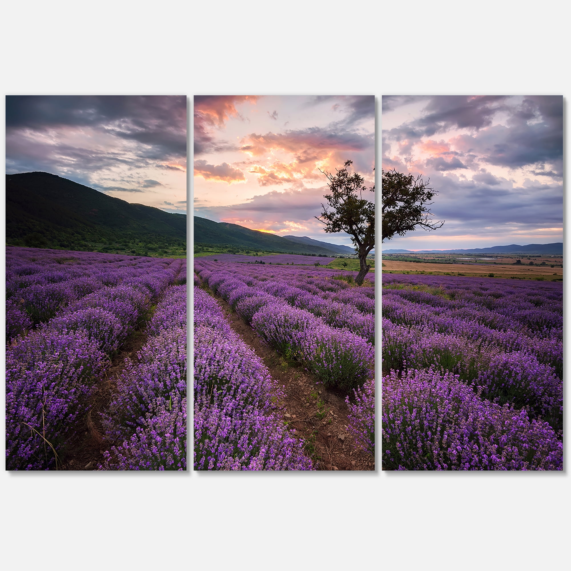 Lavender Field At Sunrise III 28 in x 36 in Photography Canvas Art Print, by Designart Set of 3