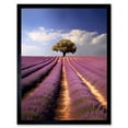 thumbnail image 1 of Lavender Field Provence France Photograph Lone Tree Beautiful Flower Purple Blooms Art Print Framed Poster Wall Decor 12x16 inch, 1 of 5