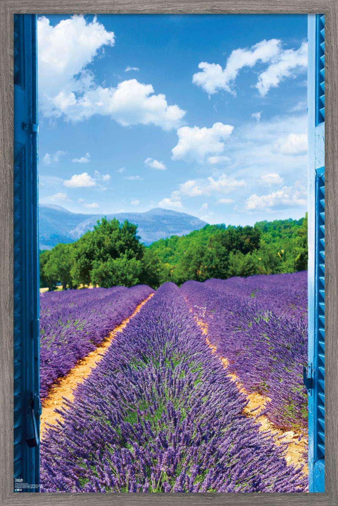 Lavender Field Wall Poster, 14.725" x 22.375", Framed