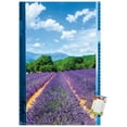 thumbnail image 1 of Lavender Field Wall Poster, 22.375" x 34", 1 of 5