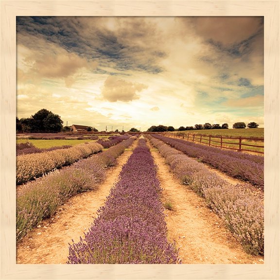 Lavender Fields Forever by Keri Bevan, Framed Wall Art, 13.25W x 13.25H