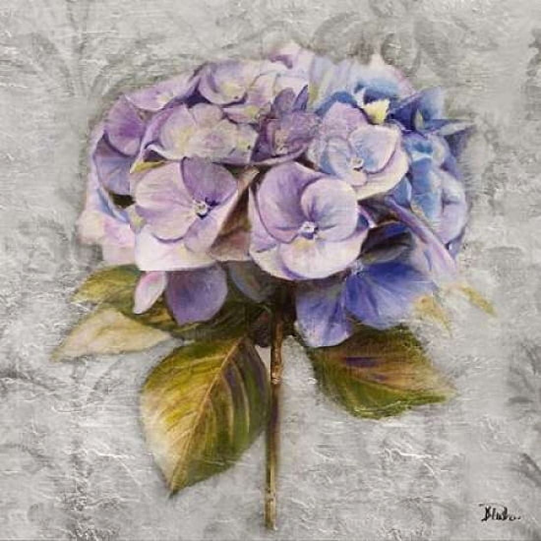 Lavender Flourish Square I Canvas Art - Patricia Pinto (24 x 24)