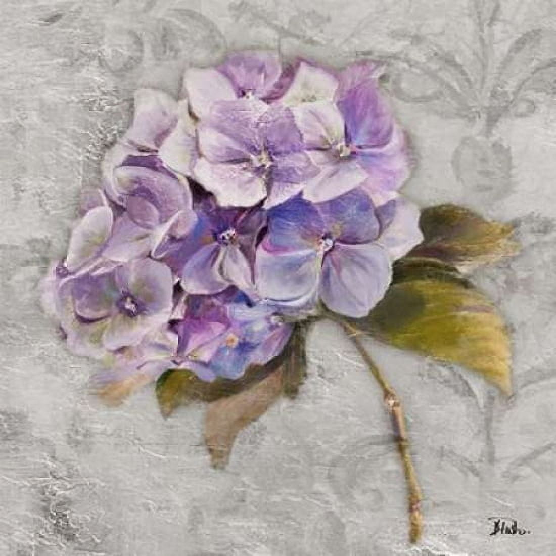 Lavender Flourish Square II Canvas Art - Patricia Pinto (24 x 24)