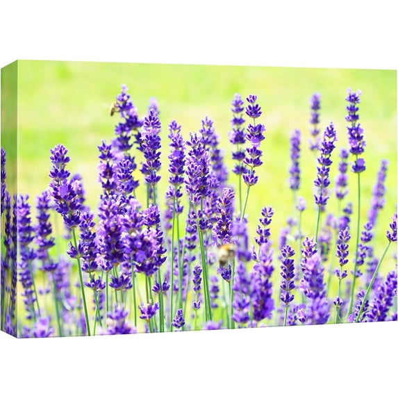 Lavender Flower Group Floral Plants Photography Modern Art Rustic Landscape Multicolor Ultra for Living Room, Bedroom, Office - 12"x18"