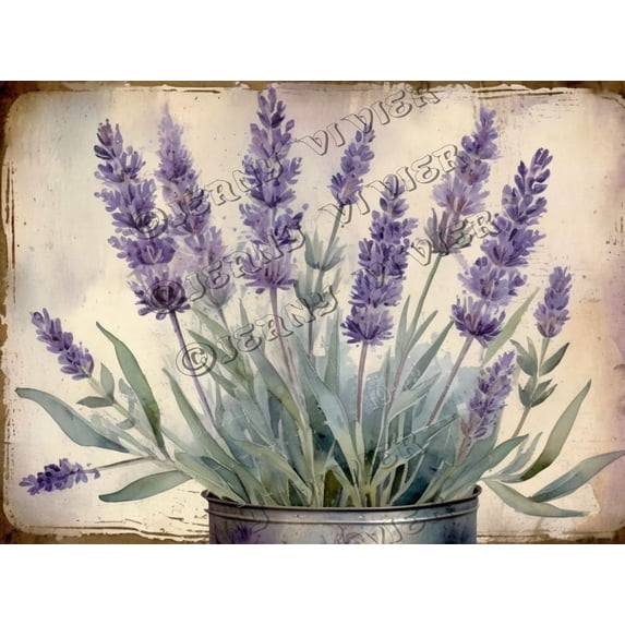Lavender Flower Retro Aluminum Sign 5.5"x8" Metal Sign Lavender Flower Bathroom Wall Decor Shabby Chic Bedroom Decor Tin Garden Signs for Cafes Club Pub Man Cave Wall Sign Gifts