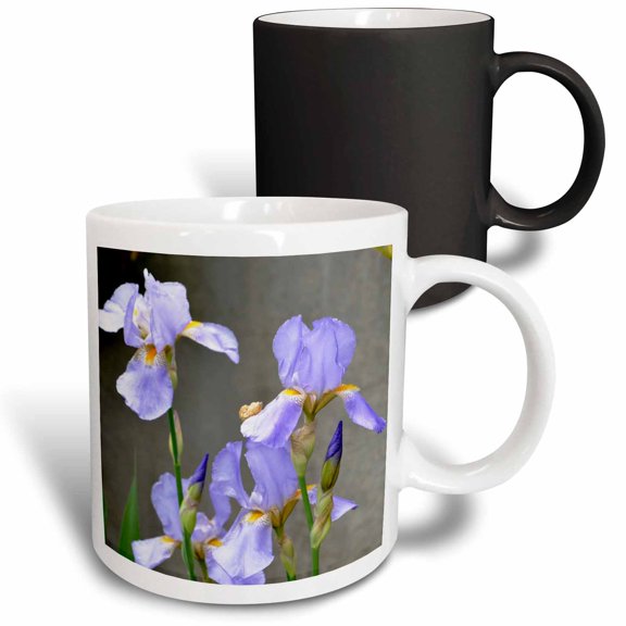 3drose, Lavender Iris Flowers - Spring Photography, 11oz Magic Transforming Mug