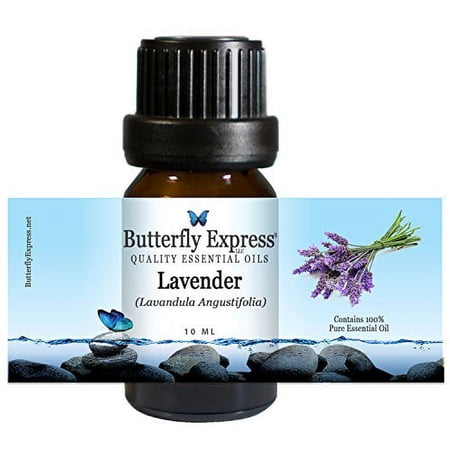 Lavender (Lavandula angustifolia) Essential Oil 10ml - 100% Pure - by Butterfly Express