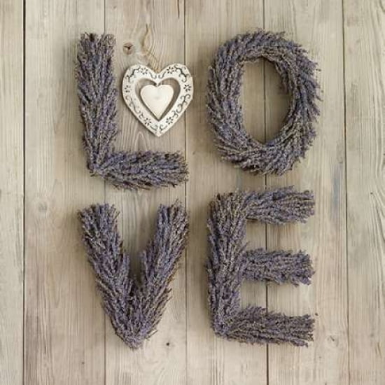 Lavender Love Canvas Art - Howard Shooter (24 x 24)