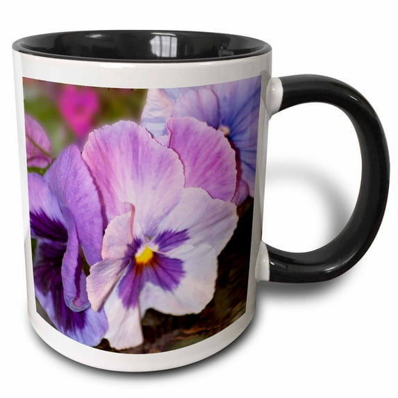 3drose, Lavender Pansies Closeup, 15oz Two-tone Black Mug