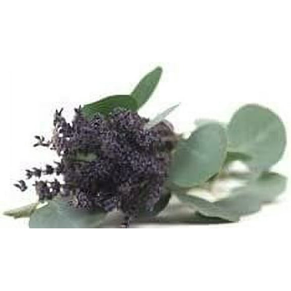 Lavender Patchouli 32 oz Bottle for Candle Making, Soap Making, Tart Making, Room Sprays, Lotions, Car Fresheners, Slime, Bath Bombs, Warmers